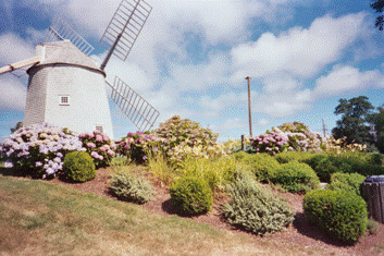 springgreen2