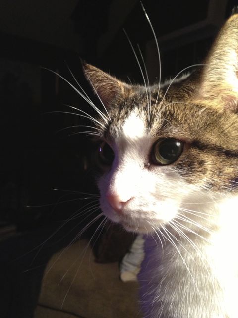 PeggyC